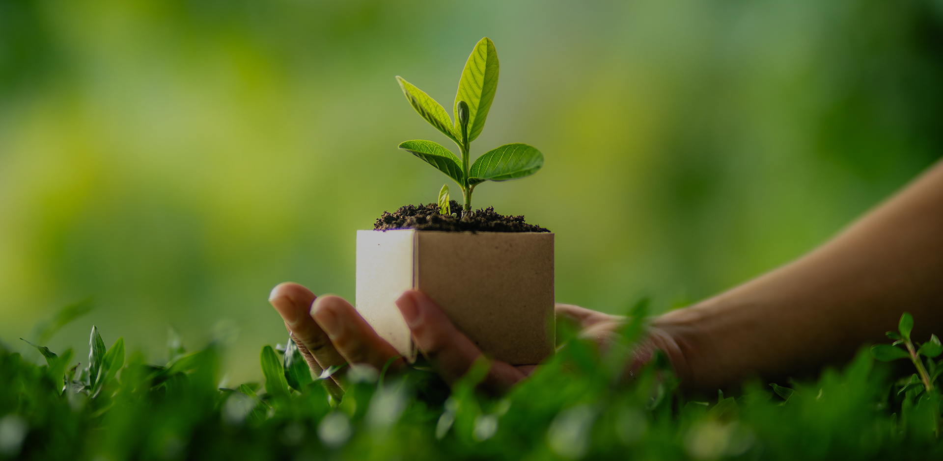 海宁市邦罗伊贸易有限公司。