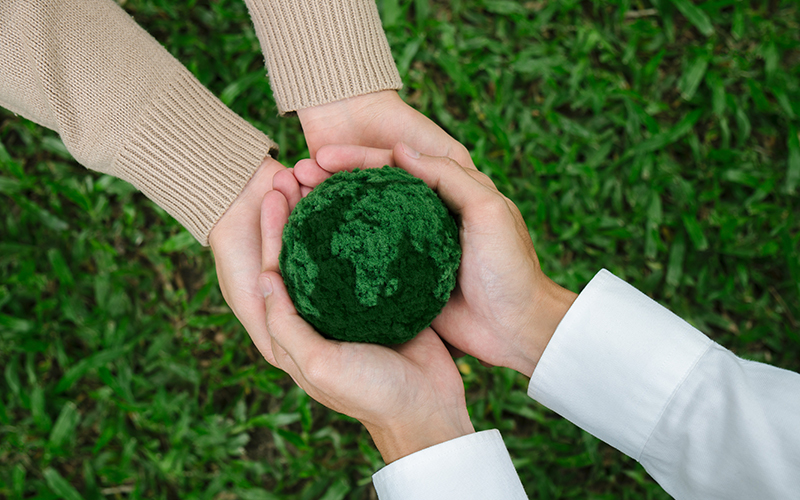 海宁市邦罗伊贸易有限公司。