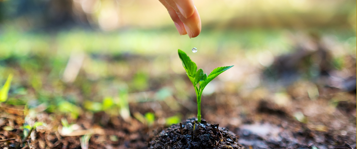 海宁市邦罗伊贸易有限公司。